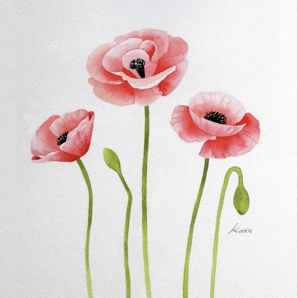 How To Paint A Poppy Flower
